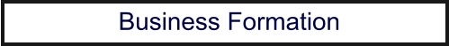 Business Formation