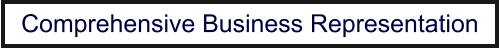 Comprehensive Business Representation